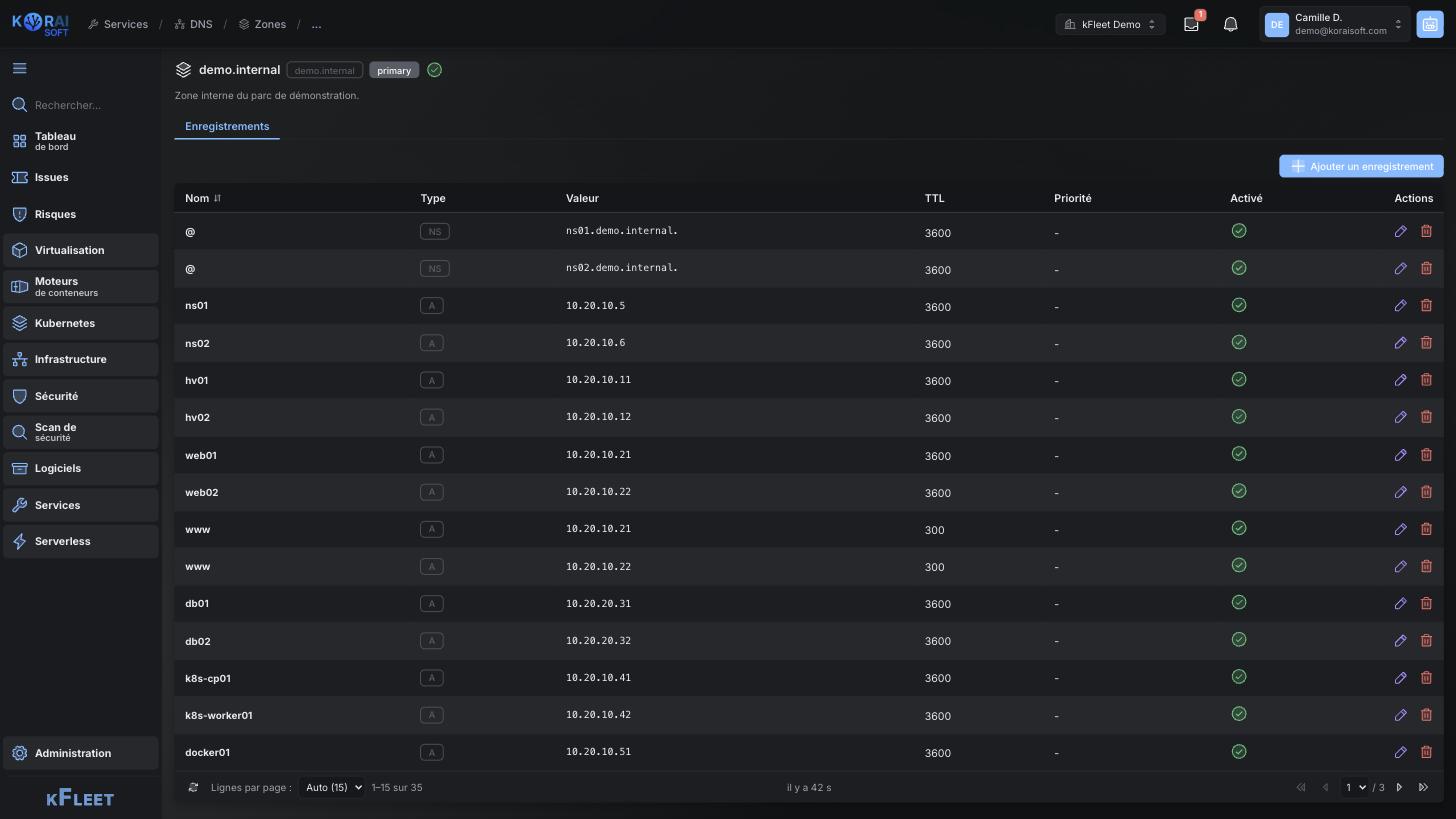 Records of a DNS zone: name, type, value, time to live and priority