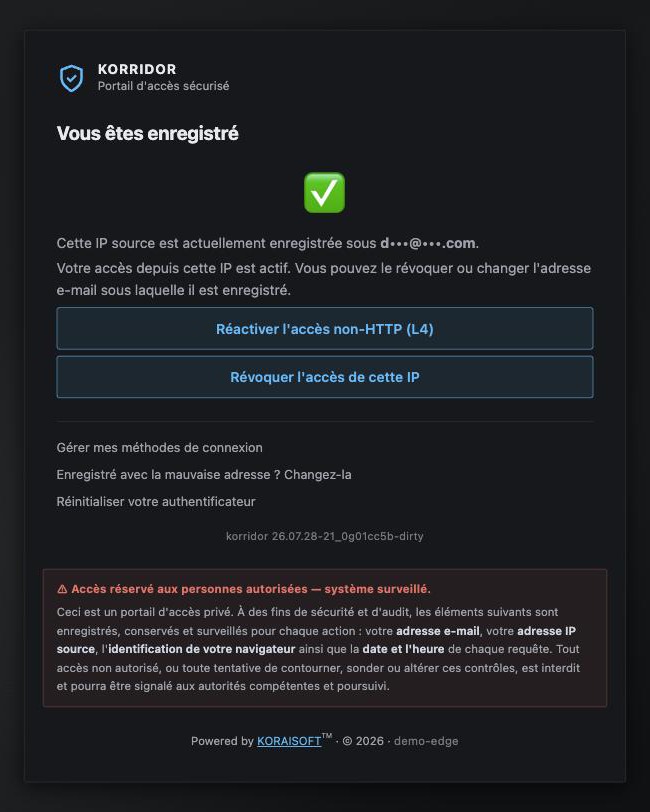 Access granted screen: the source is approved and the visitor can continue to the application they asked for